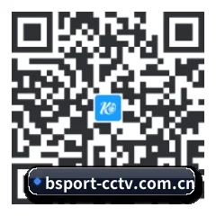 iPhone APP 二维码 | BSports